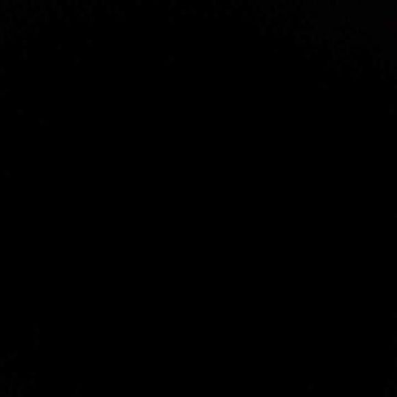 Meet your Posher, Shell - Picture 1 of 1